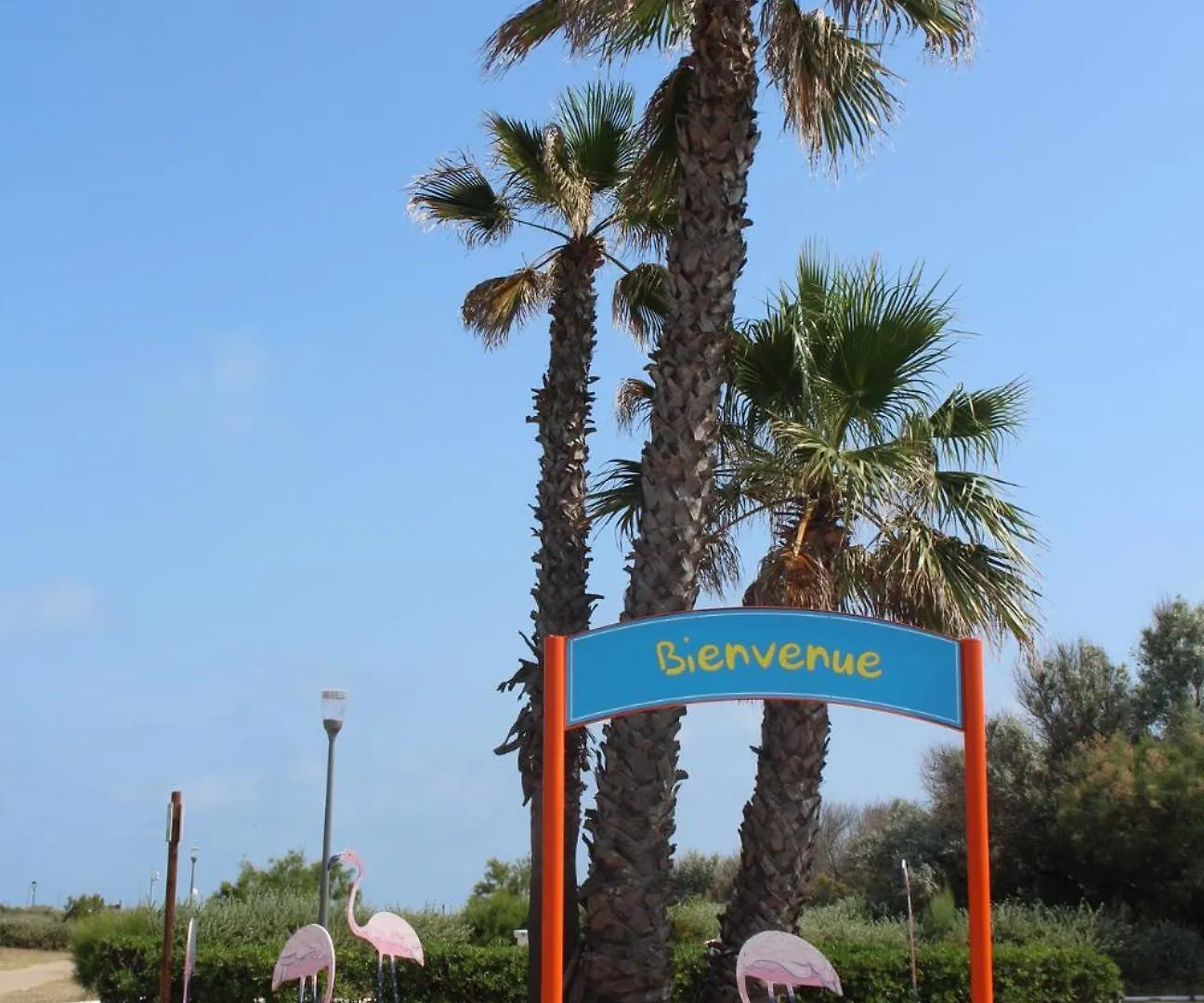 キャンプ場 Camping La Brise De Camargue サントマリー・ド・ラメール