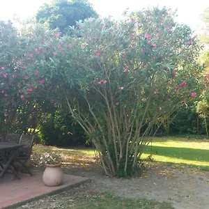 Bed & Breakfast D'icard, Saintes-Maries-de-la-Mer